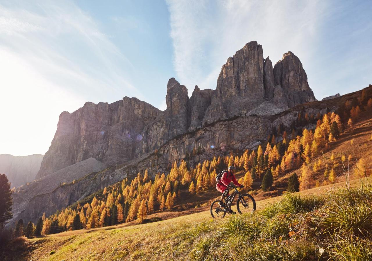 Chalet Elisabeth Dolomites Alpin & Charme เซลวาดีวัลการ์เดนา ภายนอก รูปภาพ