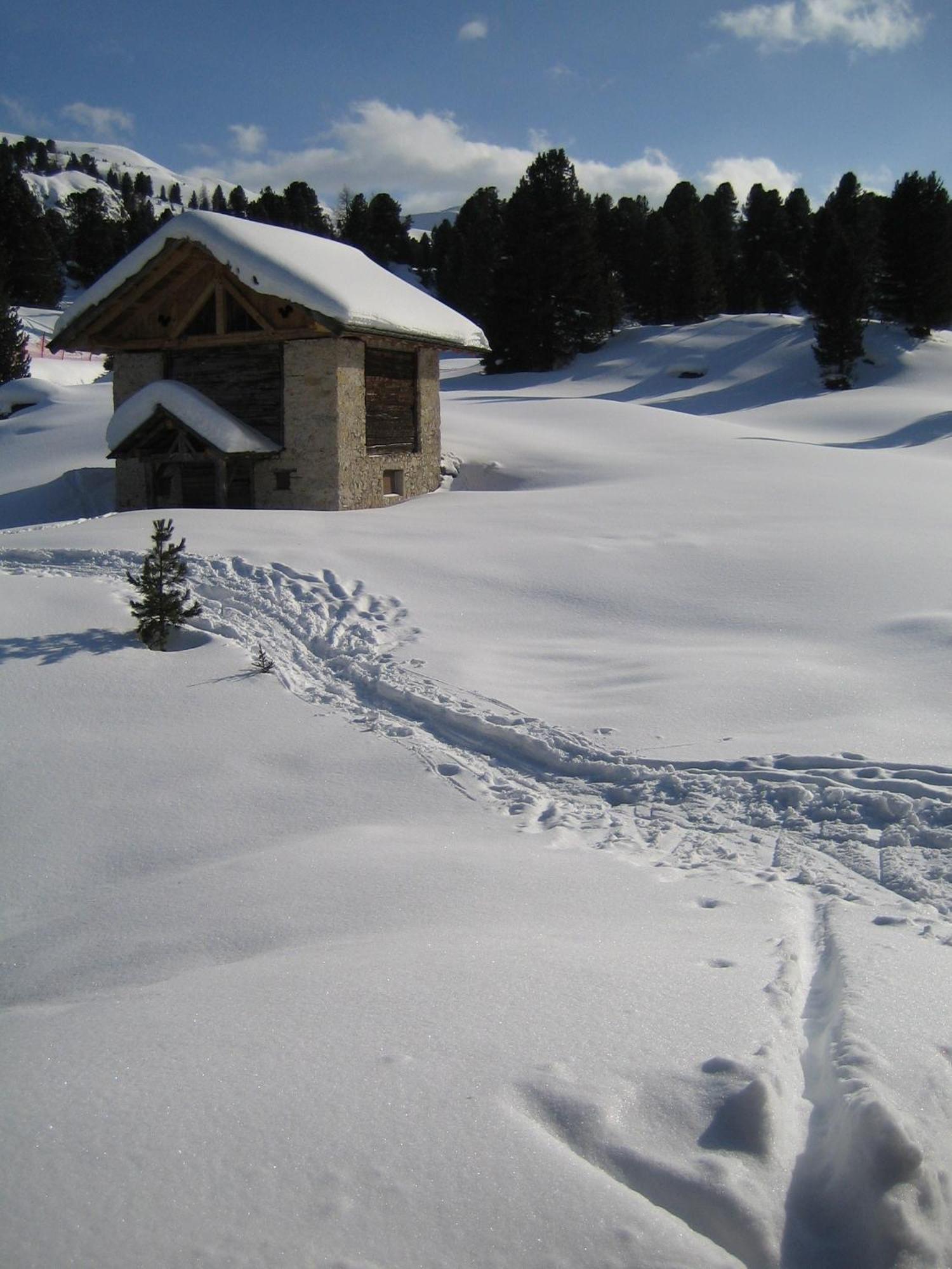 Chalet Elisabeth Dolomites Alpin & Charme เซลวาดีวัลการ์เดนา ภายนอก รูปภาพ