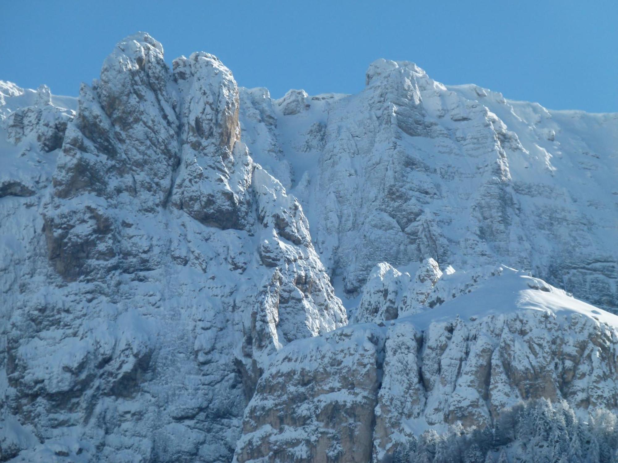 Chalet Elisabeth Dolomites Alpin & Charme เซลวาดีวัลการ์เดนา ภายนอก รูปภาพ
