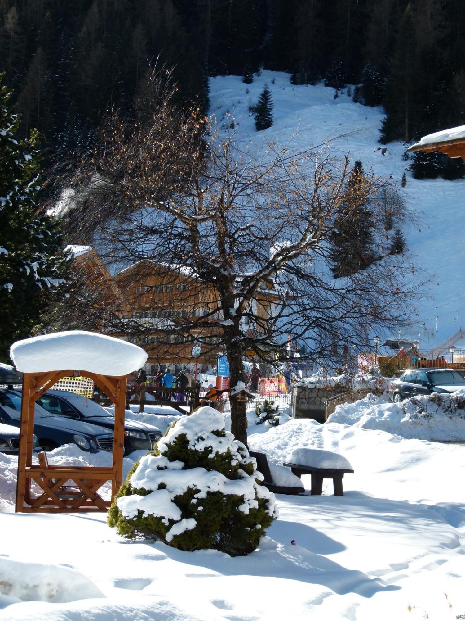 Chalet Elisabeth Dolomites Alpin & Charme เซลวาดีวัลการ์เดนา ภายนอก รูปภาพ