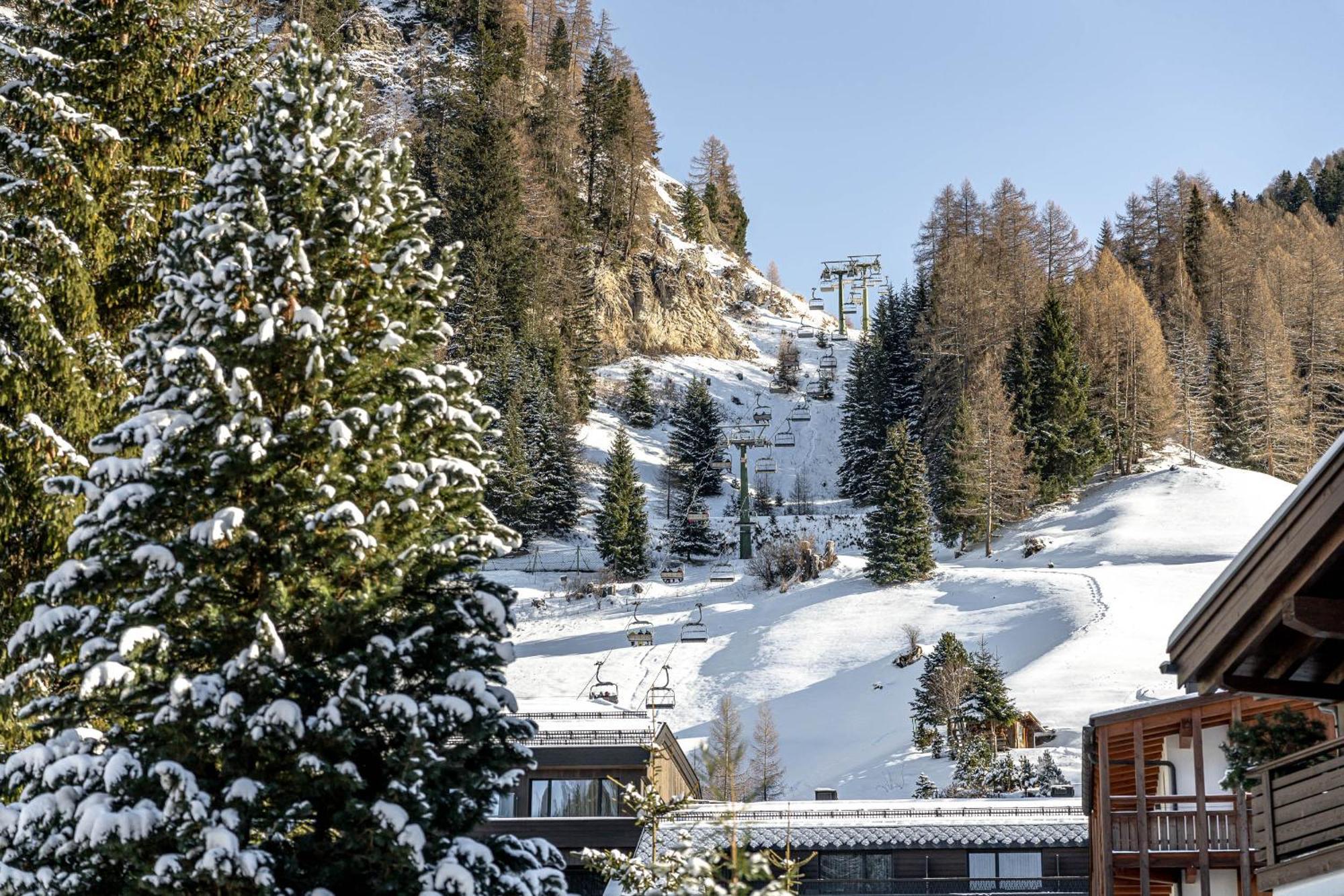 Chalet Elisabeth Dolomites Alpin & Charme เซลวาดีวัลการ์เดนา ภายนอก รูปภาพ